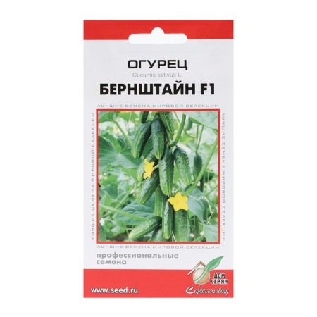 Cucumber seeds "Bernstein", F1, 6 pcs
