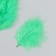 Set of decorative feathers "needlework", 20 pcs (grass), pen length 13-16 cm