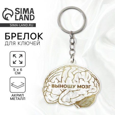 Acrylic key -keychain "I take out the brain", 5 x 6 cm