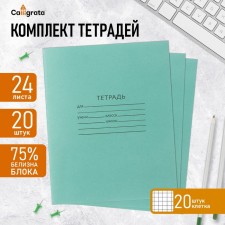 A set of notebooks of 20 pieces, 24 sheets in the cage of the Green Cover PDA, 60 g/m2, block No. 2, whitewash 75% (gray sheets)