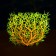 The artificial aquarium, luminous plant, 15 cm, red