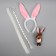 Set "Bunny", Clot on a hairpin, braid, rim, toy