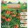 Ryabchik Imperial (Frithyllaria) Garland Starland, rr 18/20, 1 pc, autumn 2024
