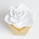 Souvenir Polystone "Golden Rose in a pot" 15x13.5x13.5 cm