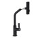 ACCOONA A5490F-9 kitchen mixer, with retractable watering can, pour 27 cm, brass, black