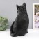The piggy bank "Cat black color" is 31.5 cm height, width 16 cm, length 24 cm.