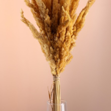 Set of dried flowers "Weinik", banch length 60 (+/- 6 cm), natural-1