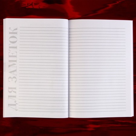 Bachelor Diary A5, soft cover, 50 sheets.-8