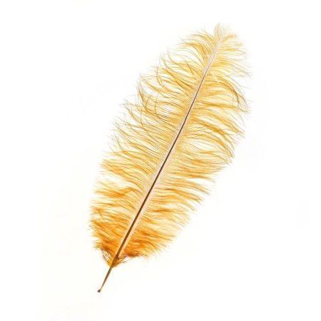 Feather for decor, length: from 45 to 60 cm, mustard color