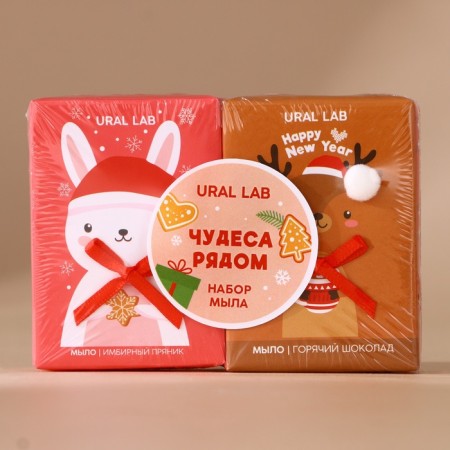 Gift set of Ural Lab "Miracles nearby", a chicken hand soap, 2x100 g, New Year