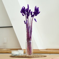 Dry -flowers 