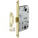 Fuel of the Soldem Fuaro Plastic P96WC-50 SG, color matte gold
