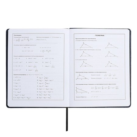 School diary for grades 1-11, fiery dragon, solid cover, artificial leather, application, pancake embossing, foil embossing, universal cheat sheet, 48 sheets, block 80g/m2-10