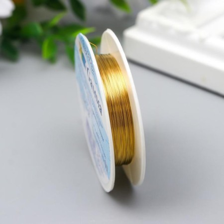 Bead wire "Gamma" D 0.2 mm 10 m ± 0.5 m No. 01