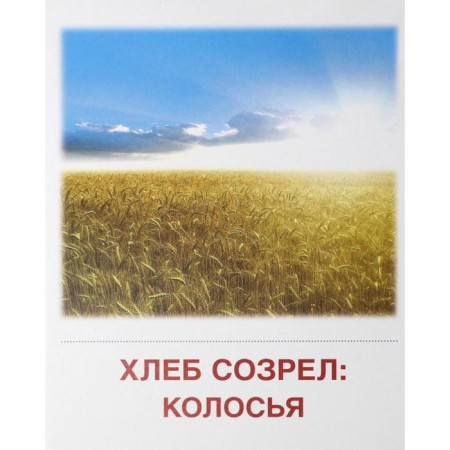 Demonstration pictures. Bread is the head of everything. 16 demonstration pictures with text. 174x220 mm-3