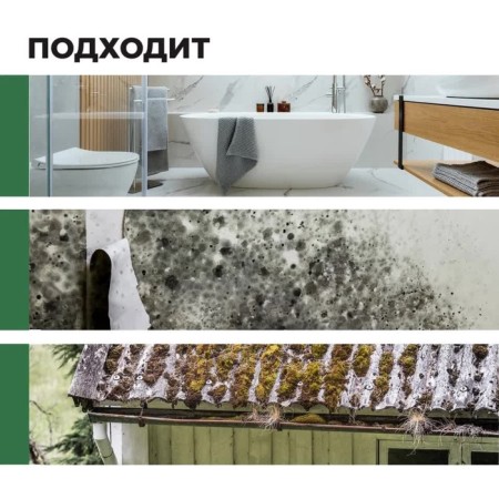 Cleaning ProSept Fungi Clean, to remove mold, finished solution, 0.5 liters-4