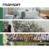 Cleaning ProSept Fungi Clean, to remove mold, finished solution, 0.5 liters