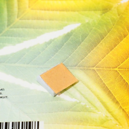 Decoration on the adhesive tape "Autumn leaves" orange, green, 18x18 cm-2