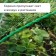 Garden grid, soft, 10 × 2 m, cell 8 × 8 mm, from birds, Greengo