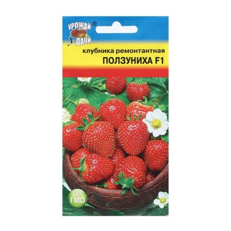 Strawberry seeds are repairing "slider", F1, 5 pcs.