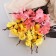Bouquet "Decorative orchid" 7x40 cm, mix