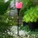Garden lamp on the solar battery "pink", 4.5 × 29 × 4.5 cm, 1 Led, glow white