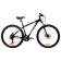 Bicycle 29 "Foxx Atlantic, the color is green, p. 20"