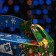 Gift box "Mail with bullfinches", 26 x 7 x 23 cm