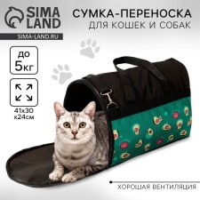Bag - Carriage of 