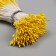 Stamens for artificial flowers gloss "risins" light yellow set 360 pcs length 6 cm