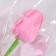 Soap tulip, pink
