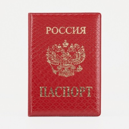 Cover for passport, red color-1