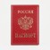Cover for passport, red color