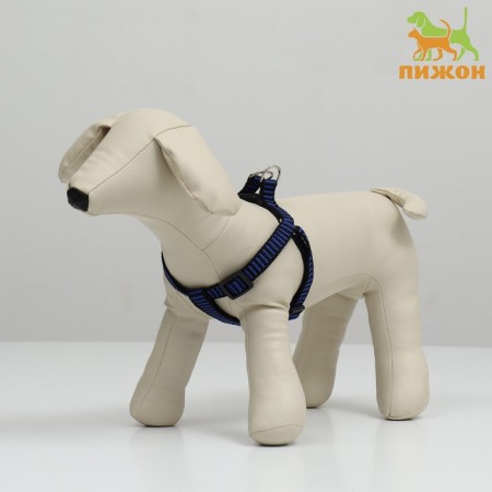 Relief harness 36-49 x 1.5 cm, blue-hourly
