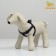 Relief harness 36-49 x 1.5 cm, blue-hourly