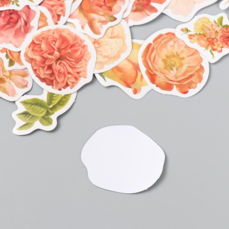 Stickers for creativity "peonies" set of 46 pcs 4.4x4.4x1.1 cm-2