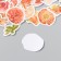 Stickers for creativity "peonies" set of 46 pcs 4.4x4.4x1.1 cm