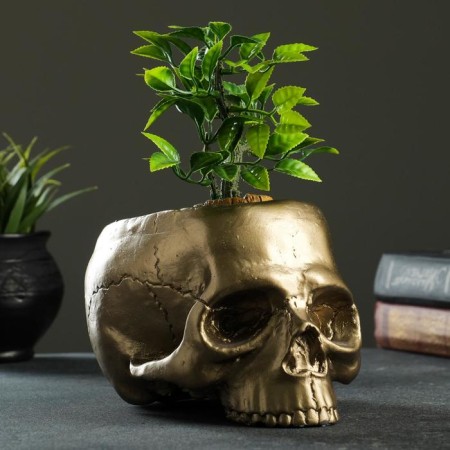Kashpo - Organizer "Skull" Bronze, 0.2 l/19x14x12cm