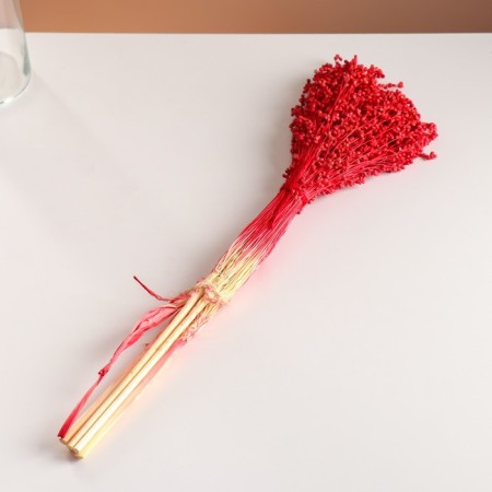 A set of dried flowers "sorgho", banch 3-5 pcs, length 60 (+/- 6 cm), red-3