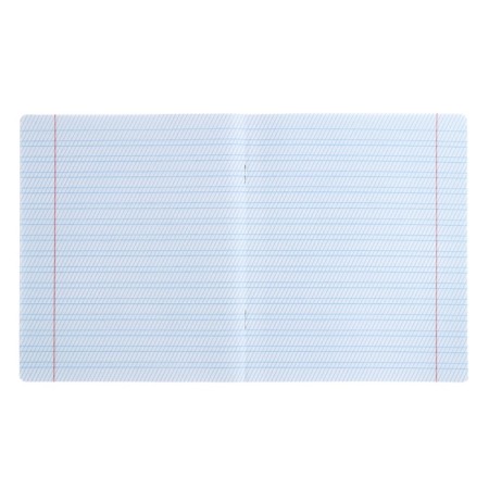 Notebook 12 sheets frequent oblique in the Erichkrause line "Coverpro classics", with a plastic cover, 5v, mix-4
