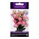 Eustoma flower seeds large -flowered Eibisi Rose, 10pcs