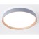 LED ceiling LED with Ambrella Light, Design, FZ1322, LED, 60 W, 4500LUM, 3000-6400K, Gray, Light Tree