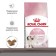 Dry food RC Kitten for kittens, 300 g