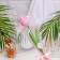 Soap tulip, pink