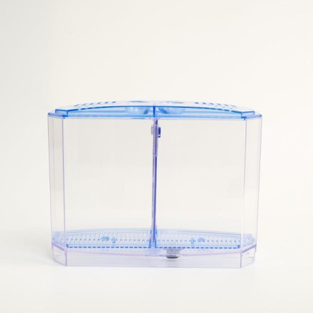 Two -sectional aquarium, with soil and 2 plants-13