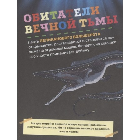The first encyclopedia of the baby "Underwater World"-3