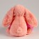Soft toy with a blanket "Bunny", pink color