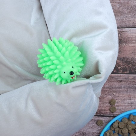 Brying "Hedgehog" Big for dogs, 9 cm, green-1