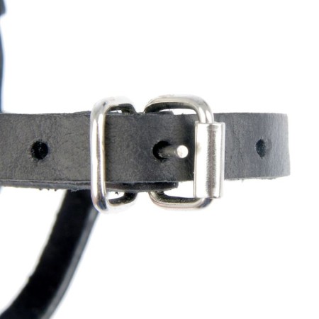 Borch Lozhny Zononic No. 0, Poodle, Small rocks (length 6 cm, muzzle 24 cm), mix-2