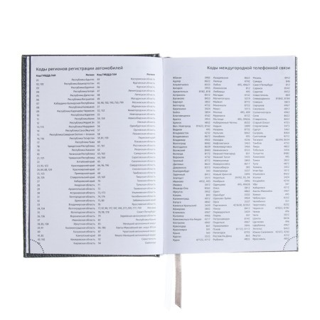 Dated diary 2024 A5 176 sheets, Devente.gold rush, firm cover of artificial leather, liesse, white block 70 g/m2, Gray-8